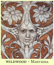wildwood mantegna